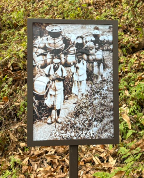 한티 순교 성지