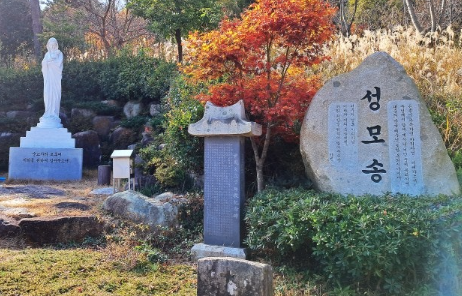 내추럴문화평생교육원 복자윤봉문